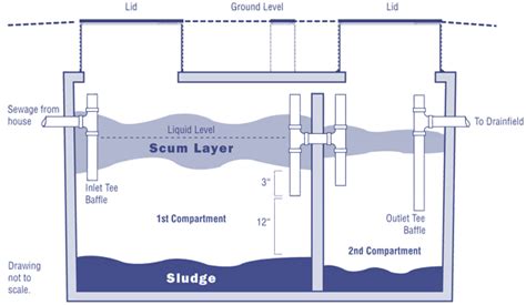 Proper Care And Feeding Of Your Septic Tank Artofit