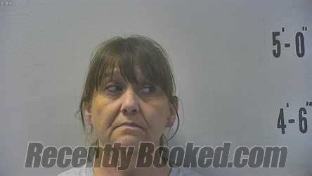 Recent Booking Mugshot For Michele Renee Howes In Pulaski County Indiana