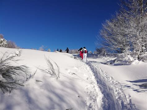 La Sila Imbiancata Conquista Gli Amanti Della Neve Boom Di Turisti