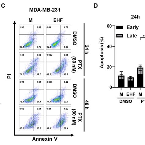 EHF Inhibited Cell Growth And Promoted Paclitaxel Induced Apoptosis