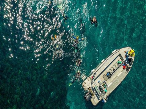 Bautismo De Buceo En Cabo De Gata Desde 85€