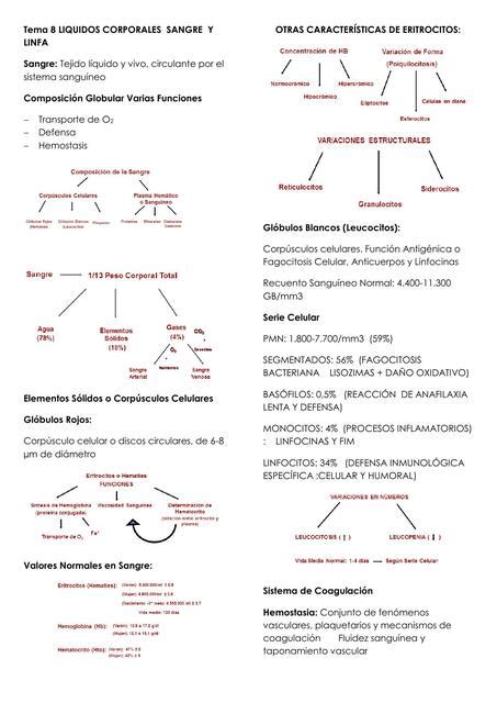 Fisiolog A Cardiovascular L Quidos Corporales Sangre Y Linfa Mar A