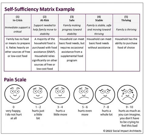 Self Sufficiency Matrix Social Impact Architects