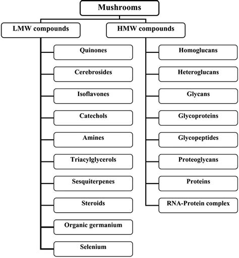 Low Molecular Weight LMW And High Molecular Weight HMW Compounds