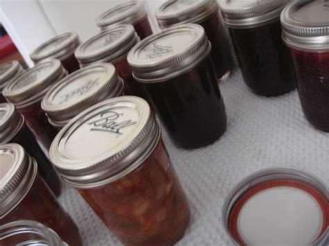 Canned Cranberry Banana Jam And Canned Ketchup Banana Jam Canned