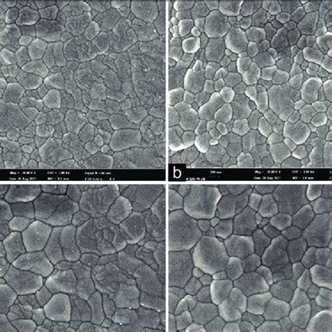 Fe Sem Micrographs Of Standard And Speed Sintered Specimens A And C