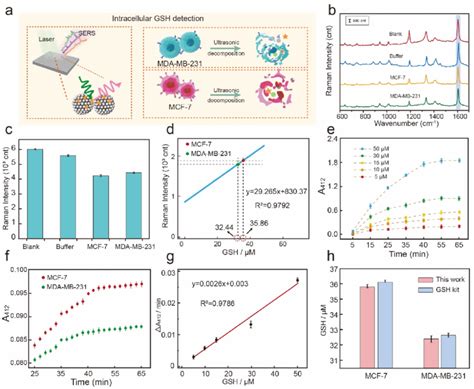 A Schematic Of Sers Detection For Breast Cancer Cellular Gsh B