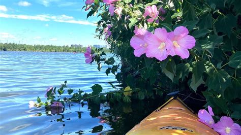 Paddling — Hackensack Riverkeeper