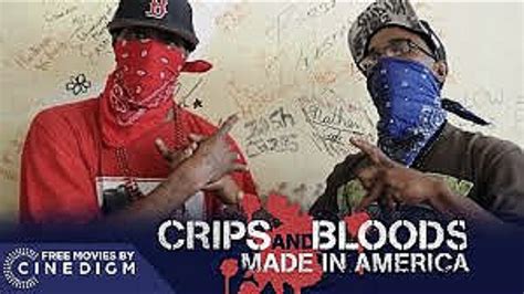 The Bloods Vs The Crips Documentary A Gang War Made In America