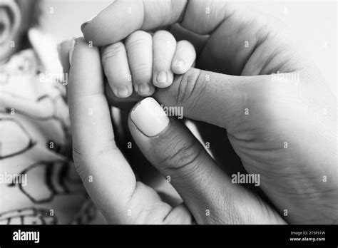 Parents Hands Hold The Fingers Of A Newborn Baby The Hand Of Mother