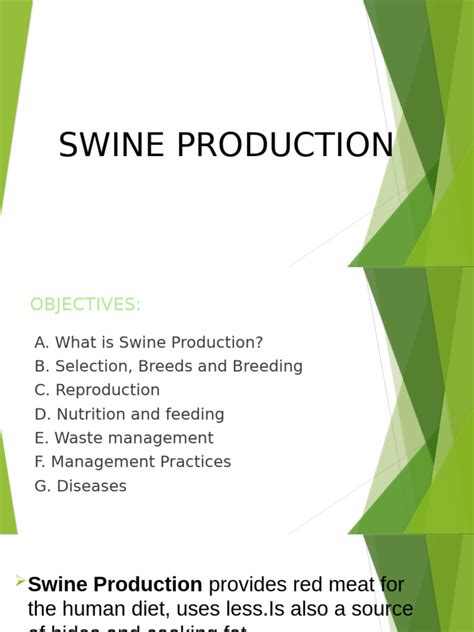 Swine Production 1 Pdf Nutrients Vitamin