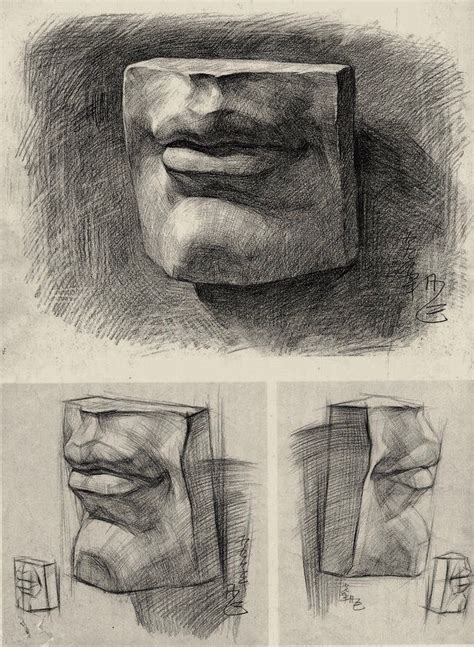Новости | Anatomy art, Portrait drawing, Art drawings
