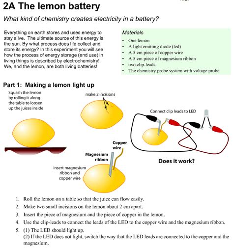 Lemon Juice Penny Battery Diagram Mackenzie Lemons