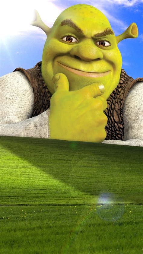 Shrek Animation Hd Phone Wallpaper Pxfuel