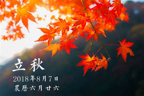 二十四节气 立秋暑去凉来秋水共长天一色