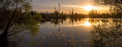 Lacs Ville De Viry Chatillon