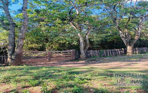 Fazenda De Alqueires A Venda Em Campanha Mg