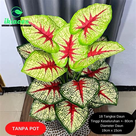 Jual DAUN AGLONEMA ARTIFICIAL DAUN MONSTERA PLASTIK BUNGA KELADI HIAS