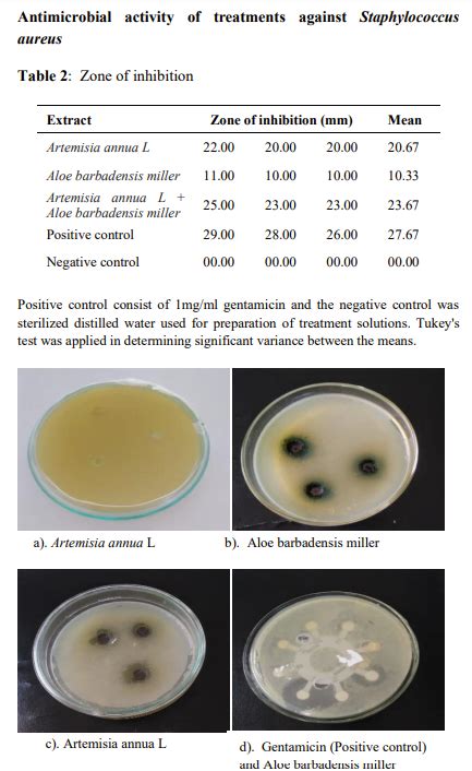 Activit Antimicrobienne Des Extraits De Plantes Artemisia Annua Et