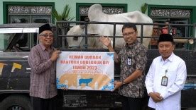 Portal Berita Pemerintah Kota Yogyakarta Sapi Bantuan Gubernur