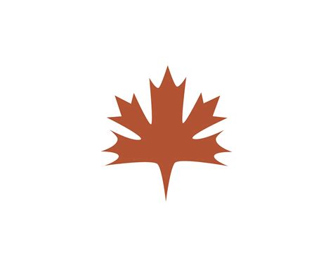 Maple leaf vector illustration 566414 Vector Art at Vecteezy