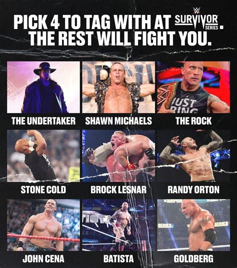 My Picks Are Undertaker HBK Rock Randy Orton R WWE