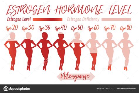 Estrogen Hormone Level Stock Vector Annyart 186621312