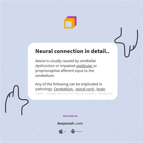 Neural connection in detail.. - Deepstash