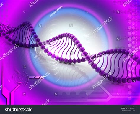 Digital Illustration Dna Structure D On Stock Illustration