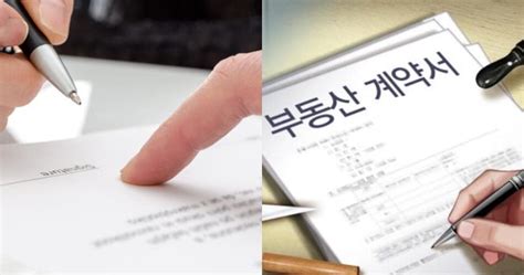 계약서에 써놔도 효과가 없다고 임대차계약 시 집주인이 직접 써도 효과없는 특약 3가지 모르면 손해 핵꿀팁