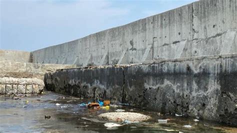 Tanggul Laut Muara Baru Retak Air Laut Merembes Ke Daratan