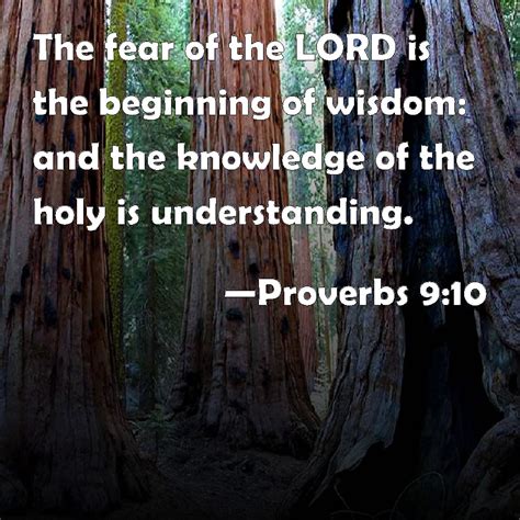 Proverbs 9 10 The Fear Of The Lord Is The Beginning Of Wisdom And The