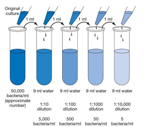 Serial Dilution Method for Estimating Viable Count of Bacteria ...