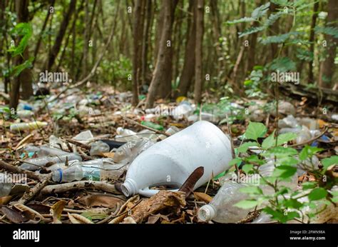 Basura De Manglar Fotografías E Imágenes De Alta Resolución Alamy