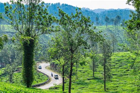 25 Things To Do In Wayanad