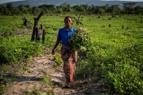 Meet Rebecca A Mother Of Four In The World S Hungriest Country