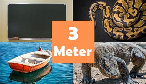 12 Things That Are About 3 Meters M Long