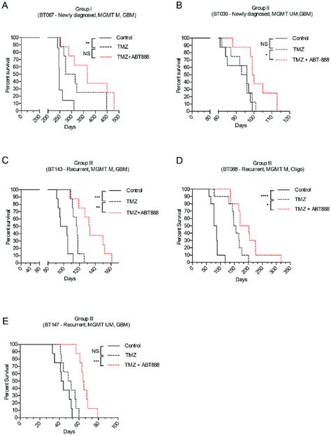 Kaplan Meier Survival Curves Of Mice Treated With DMSO TMZ Or TMZ And