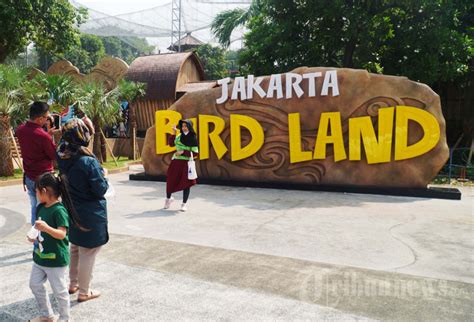 Wisata Di Jakarta Bird Land Ancol Foto 4 1943983 TribunNews