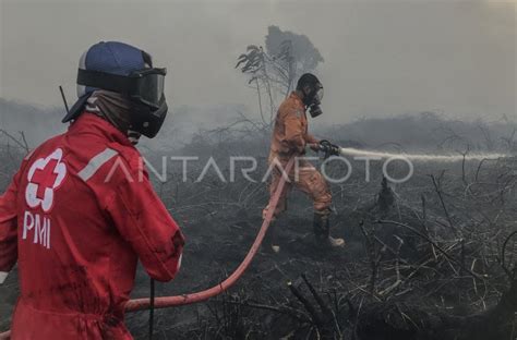 UPAYA PEMADAMAN KARHUTLA GAMBUT DI PANGKALAN BUN ANTARA Foto