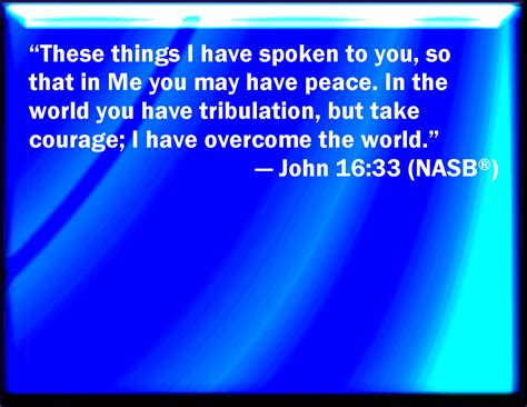 John 1633 These Things I Have Spoken To You That In Me You Might Have