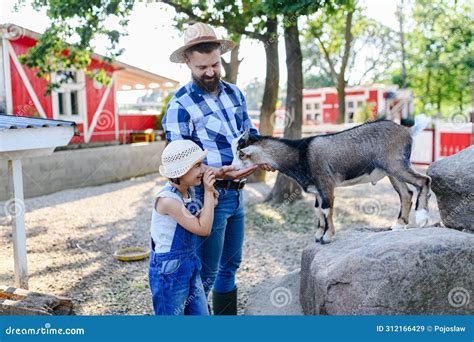 Padre Campesino Y Su Hija En Una Granja Familiar De Cabras De Prado