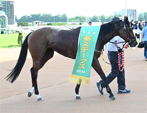 重賞2勝の3歳牝馬モズメイメイ 北九州記念からスプリンターズsが目標 有力馬 競馬写真ニュース 日刊スポーツ