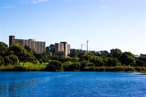 Westdene Dam stock photo. Image of johannesburg, water - 211135302