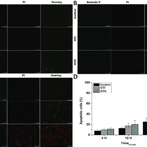 The Bovine Mammary Epithelial Cells Stained With Fitc Conjugated