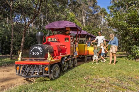 Animal Sanctuary And Education Centre Potoroo Palace Merimbula