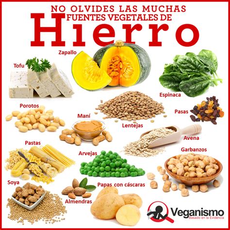 Fuentes de hierro en la dieta vegana y vegetariana Infografías