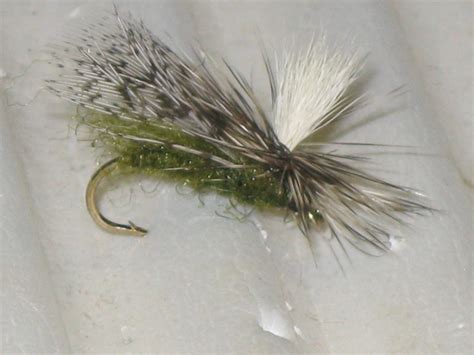 Ez Caddis Fly Pattern Fly Fishing Tips And Tactics