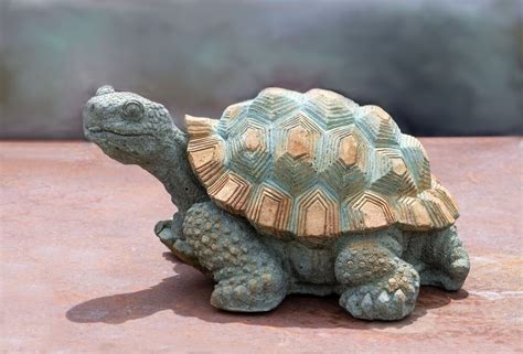 Feng Shui Tortoise Significance Attraction Positivity