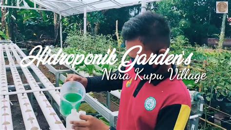 Hidroponik Garden S Nara Kupu Village Youtube